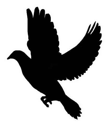 The Black Dove of Peace & Noise